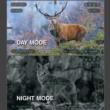 ATN X-Sight-4k 3-14x Smart HD Day/Night RifleScopeMossy Oak BreakUp Country