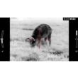 ATN Thor LTV 3-9x 640x480 12 micron Thermal Rifle Scope w/ Video Recording