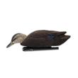 AVIAN TOPFLIGHT FLOATING / FLOCKED BLACK DUCKS