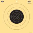 B/C DIRTY BIRD 25YD PISTOL 12-12"