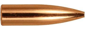 Iron Valor Armory 6mm 243DIA 80gr Varmint Match Ammunition
