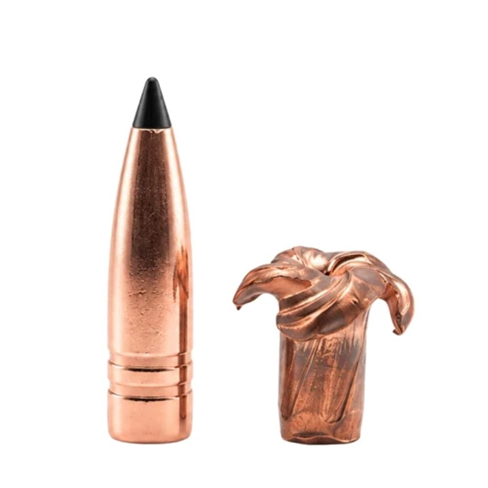 Barnes Bullets - BOAZ view 2