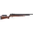 Benjamin Marauder (Wood).22 cal PCP Powered Bolt-Action Hunting Air Rifle