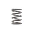 P-Series Booster Spring