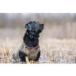 Bloodline Dog Vest  Optifade Timber M
