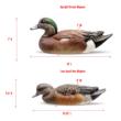 Rig Em Right Wigeon - Six Pack - EVA