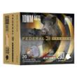 Federal Terminal Ascent P10TA1 10mm Auto 203gr JHP (20 Rounds)