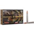 Federal Premium Cape-Shok 9.3x74R 286 gr Swift A-Frame Rifle Ammunition (20 rounds)