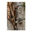 BRO TRAIL CAM MICRO SOLAR BATTERY PACK
