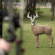 GlenDel Full-Rut Buck w/4 sided insert