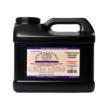 HODGDON INTERNATIONAL CLAYS