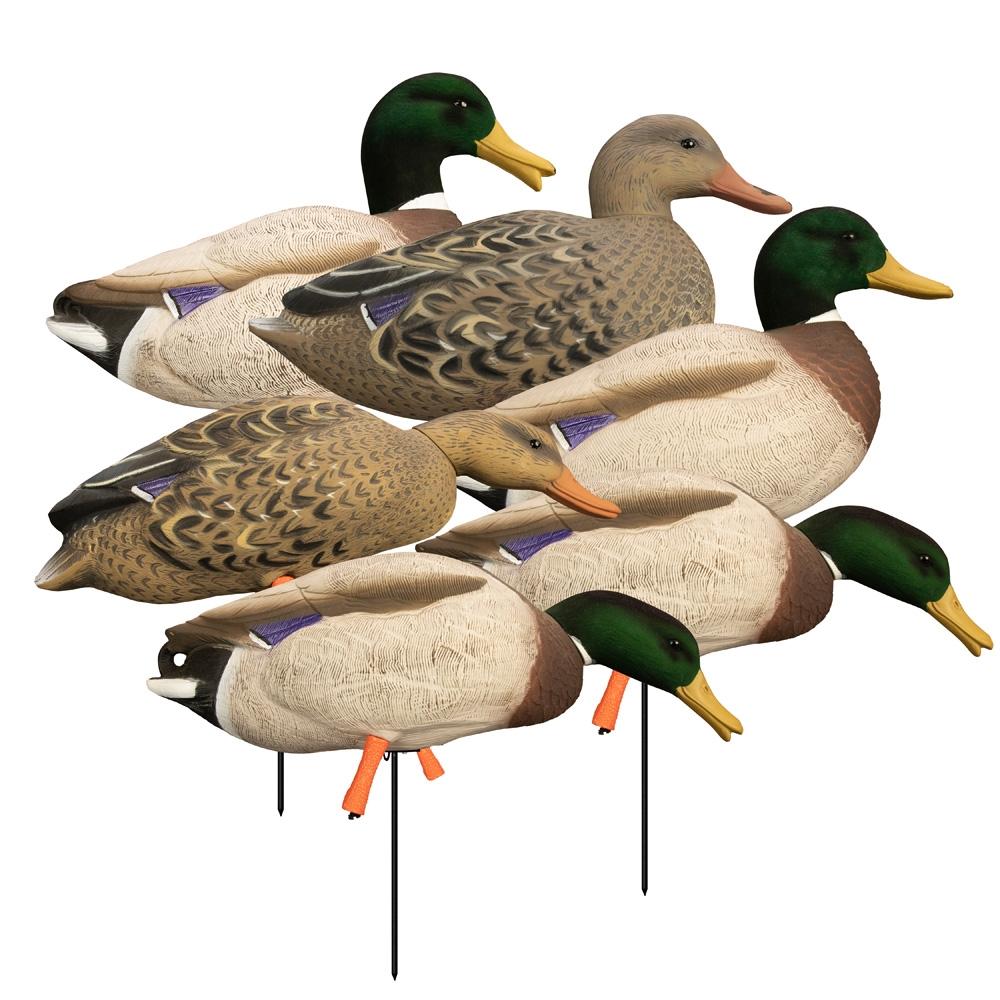 Higdon Outdoors 12006 Magnum Full Body Mallard Decoys 6pk Flocked Heads