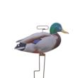 FLATS Mallard Motion Silhouettes (12pk)