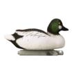 Battleship Diver Pk 2 Bluebills 2 Canvasbacks 1 Bufflehead 1 Goldeneye