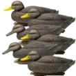 Higdon Legacy Magnum Black Duck Foam Filled (6pk)