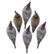 Higdon Legacy Magnum Pintail Foam Filled (6pk)