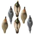 Late Season Puddle Pk Foam Drakes 2 Mallard 2 Pintails 2 GW Teal (6pk)