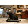 MOmarsh Kennel Cot (Lrg)