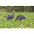 Higdon FLEX Turkey Combo (Tom Hen) Silhouette