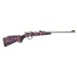 HENRY MINI BOLT 22S/L/LR