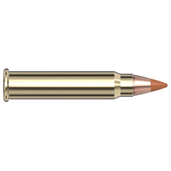 Hornady 17 HMR 15.5gr NTX – Proven 17 HMR Rimfire Varmint Ammo, 2525 fps, 50 Rounds 2 Hornady 17 HMR 15.5gr NTX – Proven 17 HMR Rimfire Varmint Ammo, 2525 fps, 50 Rounds - Image 2