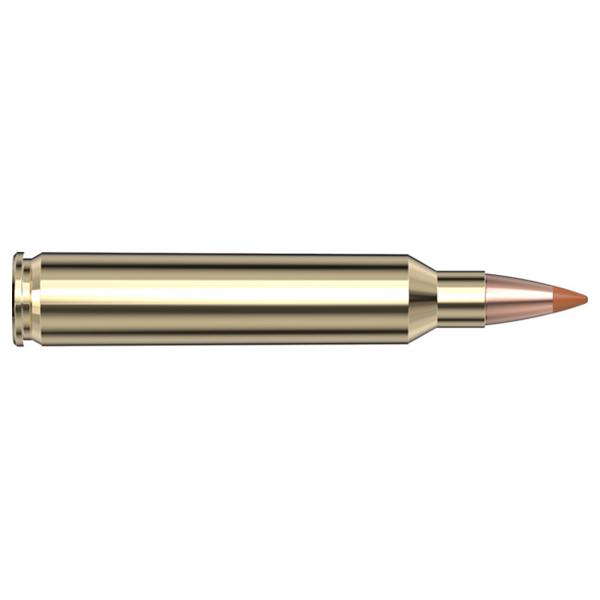 Hornady 204 Ruger 24gr NTX – Proven .204 Ruger Varmint Ammo, 4400 fps, 20 Rounds 3 Hornady 204 Ruger 24gr NTX – Proven .204 Ruger Varmint Ammo, 4400 fps, 20 Rounds - Image 3