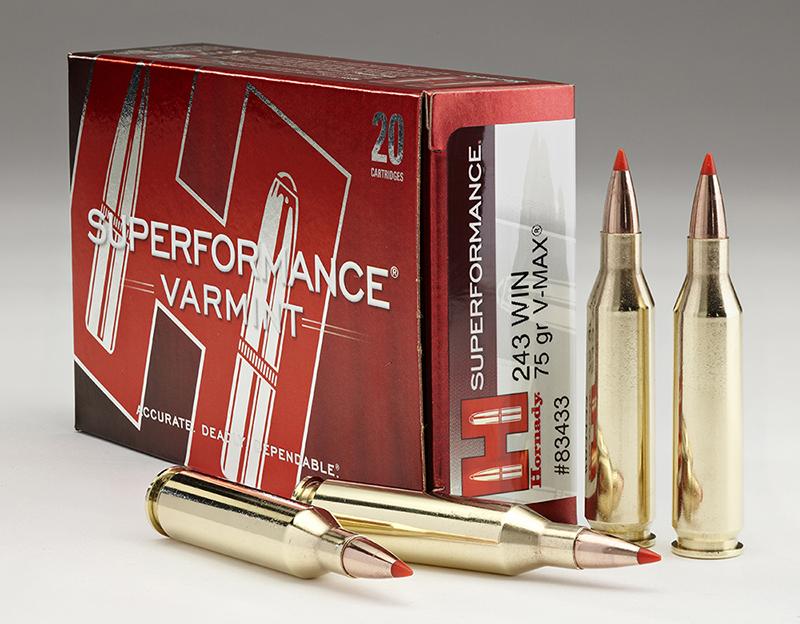 Hornady 243 Win 75gr V-MAX – Proven .243 Winchester Varmint Ammo, 3580 fps, 20 Rounds 3 Hornady 243 Win 75gr V-MAX – Proven .243 Winchester Varmint Ammo, 3580 fps, 20 Rounds - Image 3