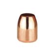 .50 CAL 300GR RS 500ct