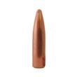 .300 AAC Blackout (.308) 180gr TMJ-SP 200ct bullets