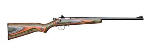 Keystone Sporting Arms Crickett 22 LR Camo Laminated Blued Rifle