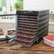 LEM 10-Tray Plastic Dehydrator