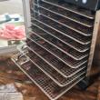 LEM 10-Tray Stainless Steel Dehydrator