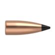 NOSLER BULLETS 6MM .243