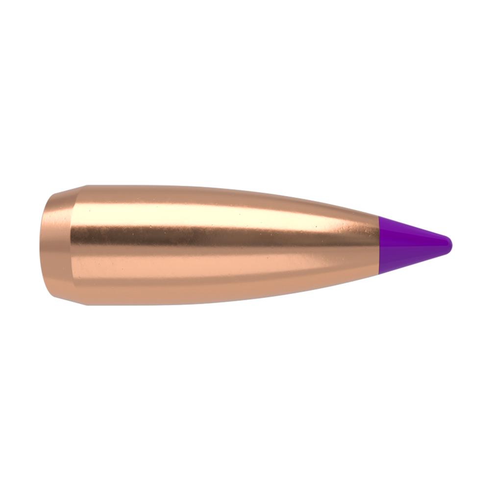 Nosler Ballistic Tip Varmint Rifle Bullets 6mm .243" 55 gr SBT-SB 100/ct