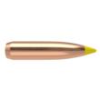 Nosler BT-270 170g SP (50ct)