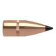 Varmageddon 310 123 FB Tipped-100ct bullet