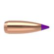 NOSLER BULLETS 6MM .243