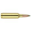 270 WSM 130gr E-Tip (20 ct.) Ammunition
