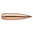 RDF 30 175 HPBT-500 ct bullet