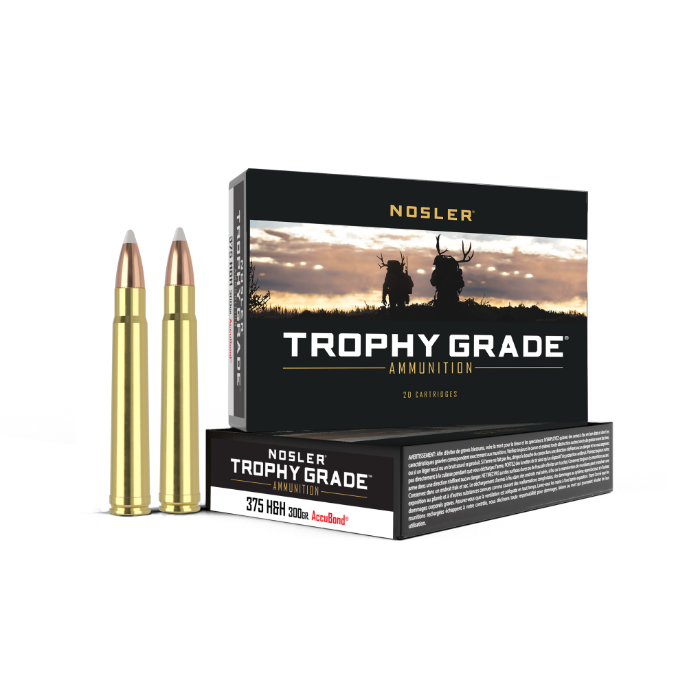 Nosler .375 H&H Magnum 300gr PARTITION Brass – 20rd