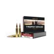 Nosler 60118 Trophy Grade Long-Range 30 Nosler 210gr AccuBond LR
