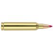 204 Ruger 40gr Ballistic Tip (20 ct.) Ammunition