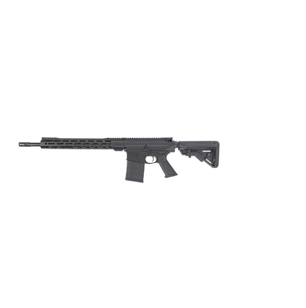 DPMS DP-10 308 Win - 2A in MD view 2