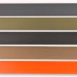 Apogee Belt Grey buckle/blk belt