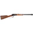 Rossi Rio Bravo RL22W201WD-EN19 20" 12rd Lever-Action Rifle (July 4th Eagle Engraved)
