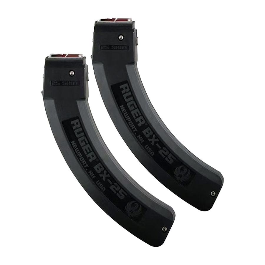 RUG MAG 10/22 22LR 25RD 2-PACK