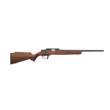 Retay USA Asend Hunter ASD22-SWAL-16 .22 LR Bolt-Action Rifle (16" Black Walnut)