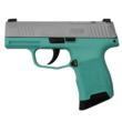P365 9MM 3.1  BLK STRIKR XRAY3 OR 2 MAG-Robins Egg Blue Fram Slvr Sl
