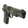 AF1911-ENHANCED 10mm 5in Polished Standard Sights